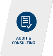 Audit and Consulting