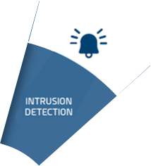 Intrusion Detection